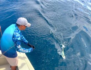 big game fishing in Nuevo Vallarta, Mexico