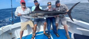 Marlin fishing in Nuevo Valarta