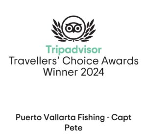 Best fishing charters in Nuevo Vallarta