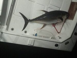 tuna fishing in Nuevo Vallarta, Mexico