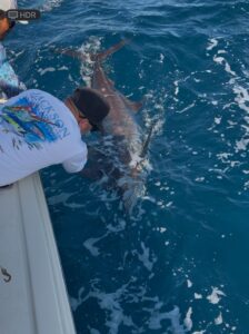 Nuevo Vallarta marlin fishing